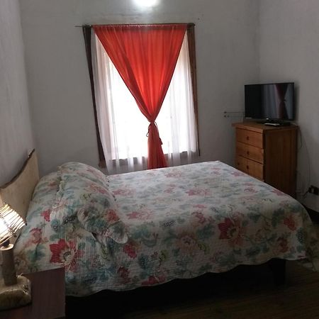 Cabana Hostal Ema ピスコ・エルキ エクステリア 写真