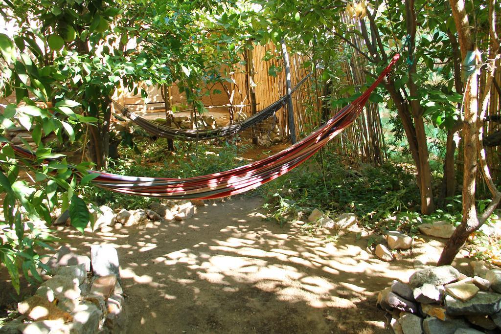 Cabana Hostal Ema ピスコ・エルキ エクステリア 写真